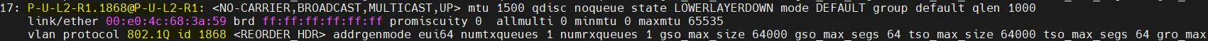 Пример строки VLAN в выводе