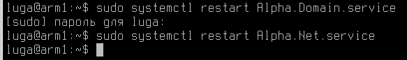 Настройка АРМ Astra Linux, установка компонентов «Альфа Платформа» - рисунок 12